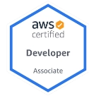 cloud practioner developer picture