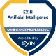 Artificial Intelligence Compliance Professional (AICP) - Zer